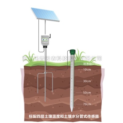 管式向日葵污视频APP墒情监测站