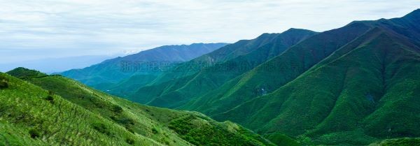 智慧护林有妙招，看太子山如何用科技守护森林